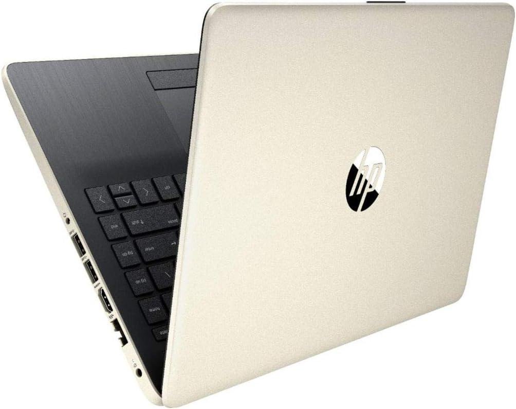 Discover Our Thoughts on the HP 14