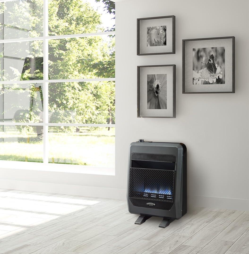 Stay Cozy This Winter: Our 20,000 BTU Blue Flame Heater Experience!