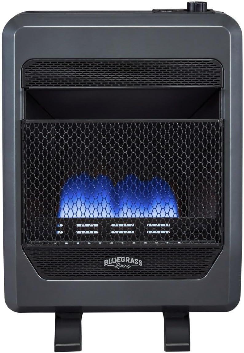 Stay Cozy This Winter: Our 20,000 BTU Blue Flame Heater Experience!