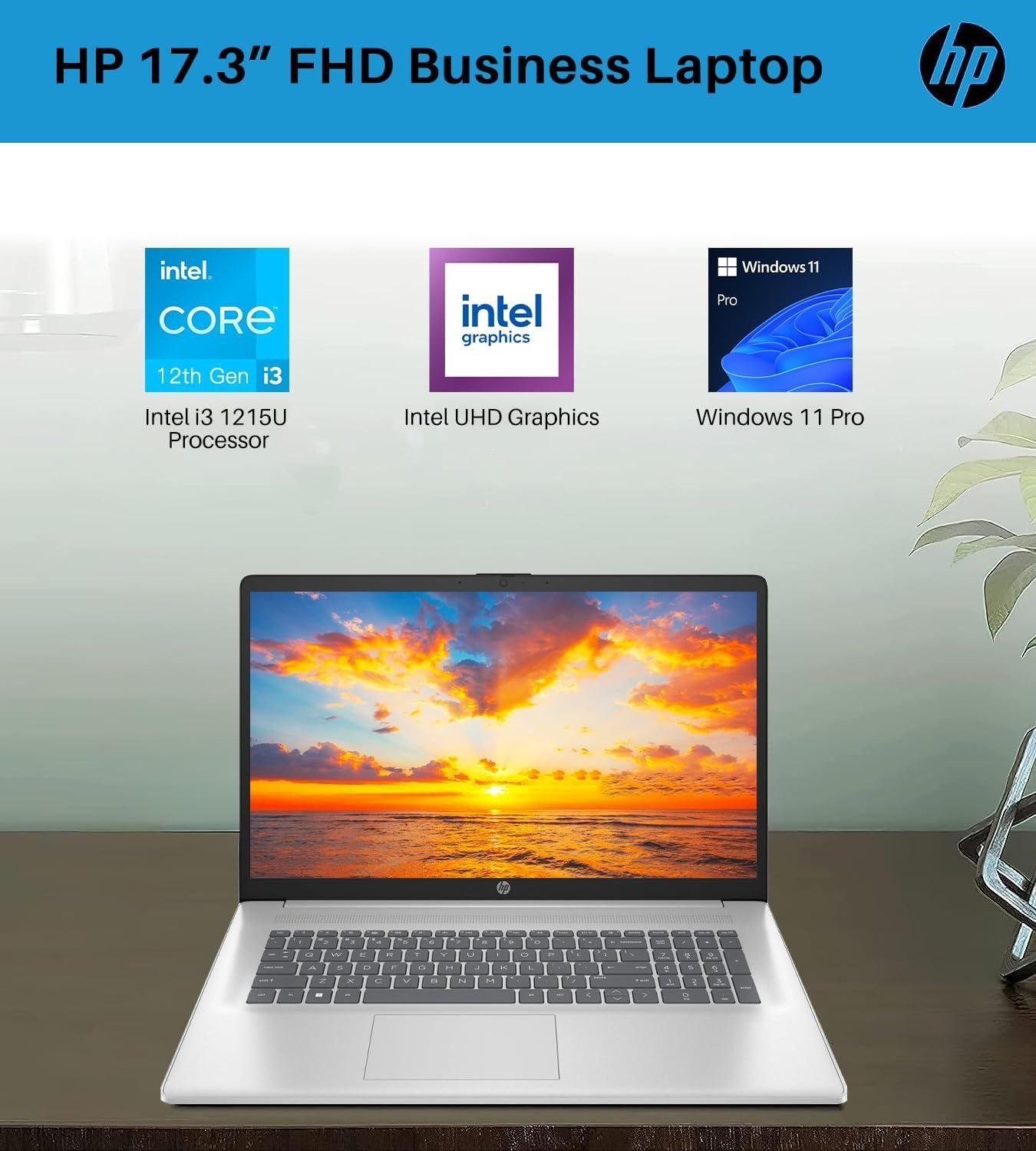 Discover our HP 17.3