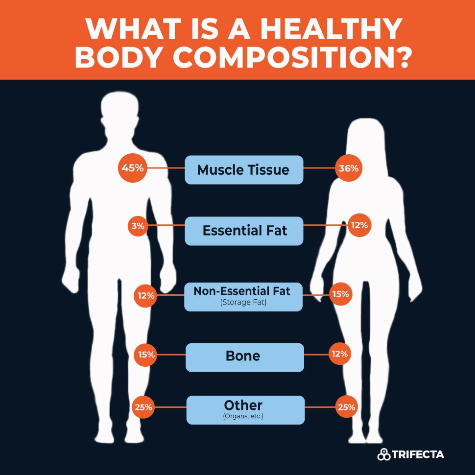 Top Ways To Measure Your Body Composition With Technology