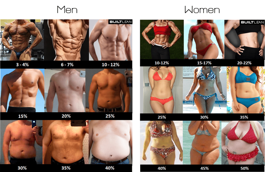 Top Ways To Measure Your Body Composition With Technology