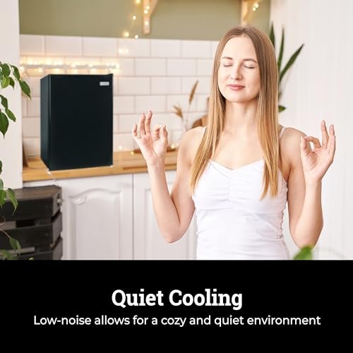 Chill Out: Igloo 2.6 Cu.Ft. Compact Refrigerator Review - Image 7