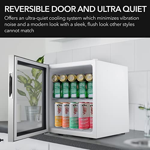 Cool and Secure: Whynter BR-062WS Beverage Refrigerator Review - Image 7