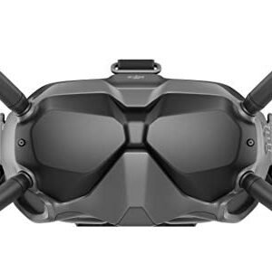 DJI FPV Goggles