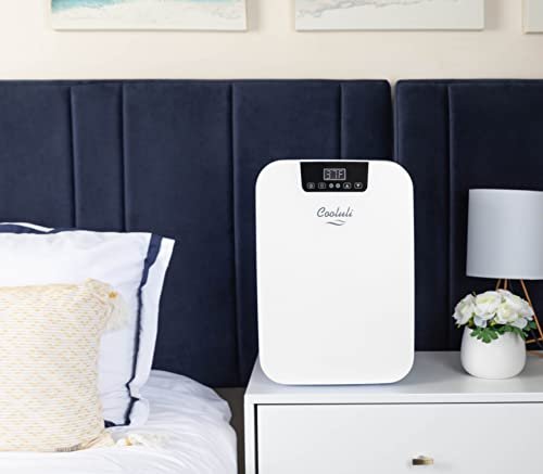 Chill or Heat: Review of the Cooluli 20L Mini Fridge - Image 2