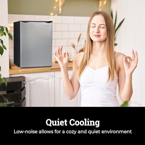 Efficient Igloo 2.6 Cu.Ft. Compact Refrigerator Review - Image 7