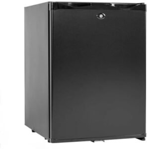 Smad Mini Fridge with Lock Compact Refrigerator for Bedroom Dorm Office No Noise,12V/110V,1.0 Cubic Feet, Black