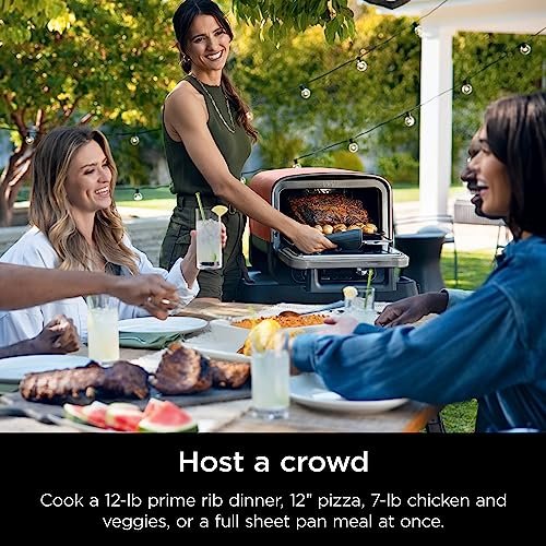 Ninja Woodfire Pizza Oven: 8-in-1 Portable Electric Grill, 700°F, BBQ Smoker, Terracotta - Image 9