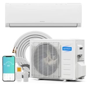 Smart WiFi Mini Split AC/Heat Pump: 12000 BTU Inverter, 21 SEER2 Energy Saver 115V
